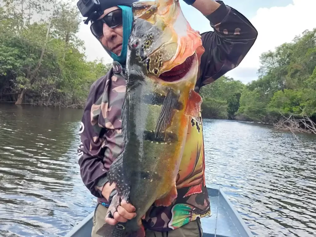 br pesca e turismo pescaria esportiva barco amazon lord 24