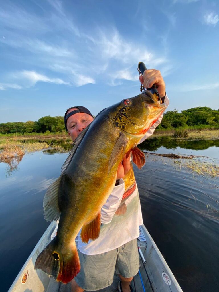 b0674ecf d1d0 463b 84d8 c63ef04e3645